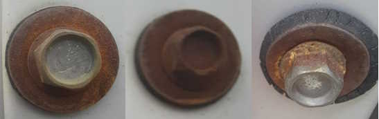 саморезы рядом.jpg